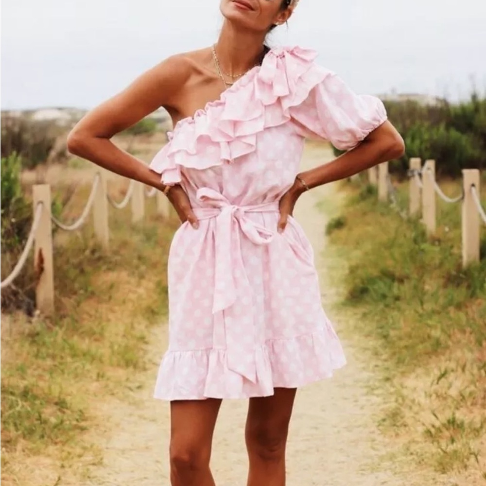 One Shoulder Lisa Marie Fernandez Pink Dress